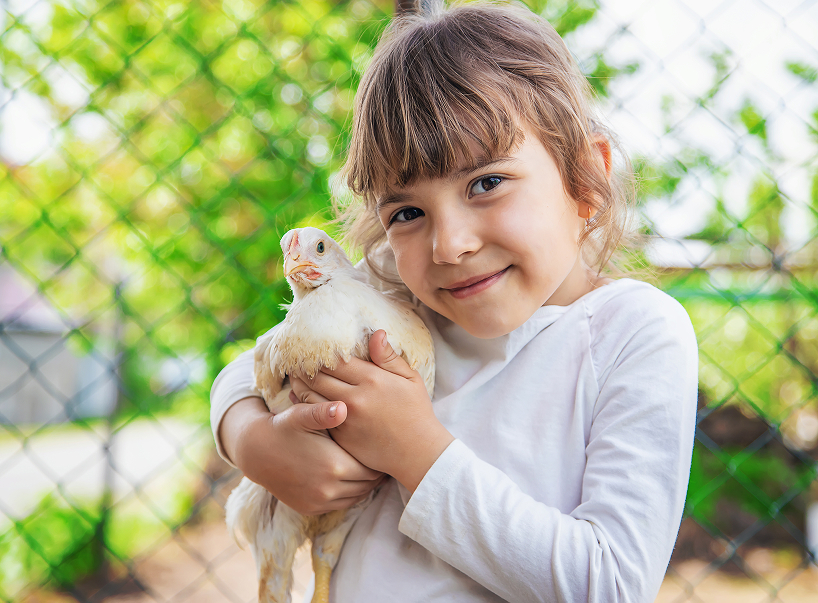 Kind zeigt fürsorglichen Umgang mit einem Küken – Tierschutzbildung