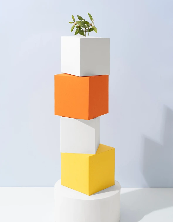 Naturvermittlung Projekt bauen