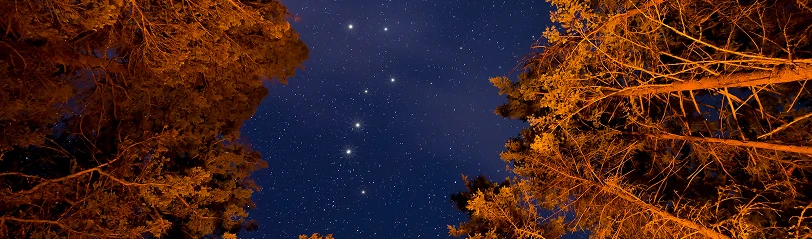 Paten der Nacht Mitglied Naturnacht